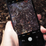 Budget Phone Review (under $300